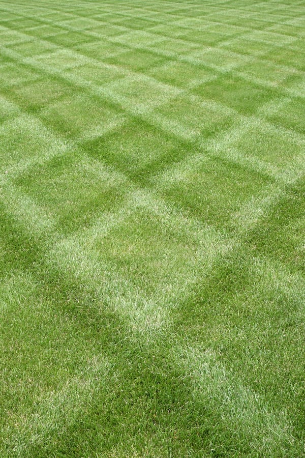 Fresh mowing stripes in a residential lawn