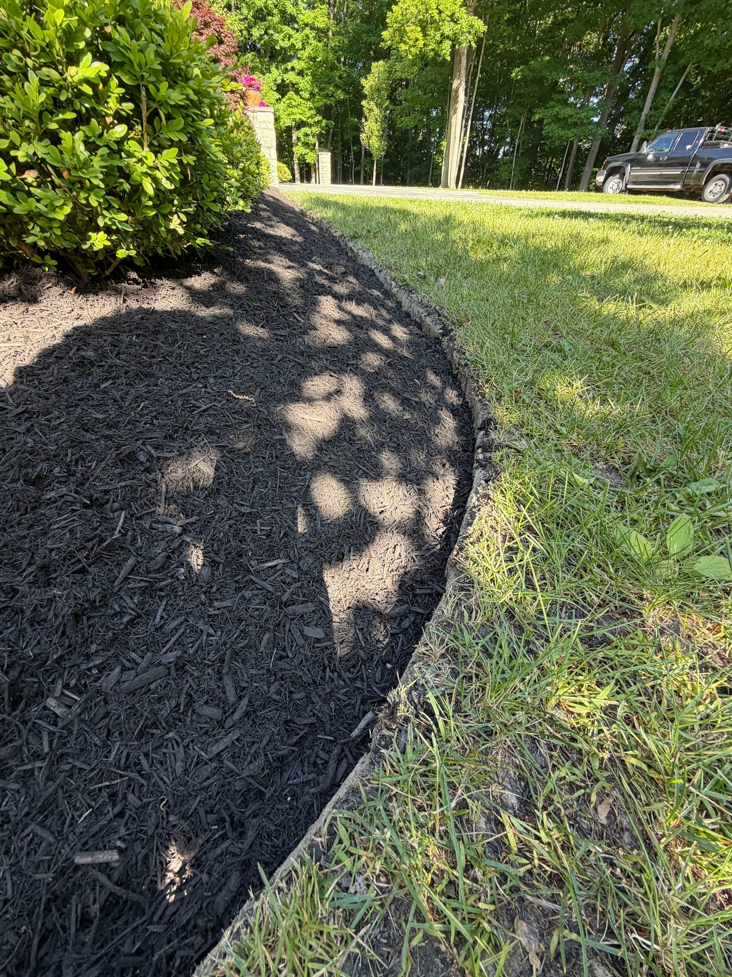 Fresh dark mulch bed with a crisp cut edge