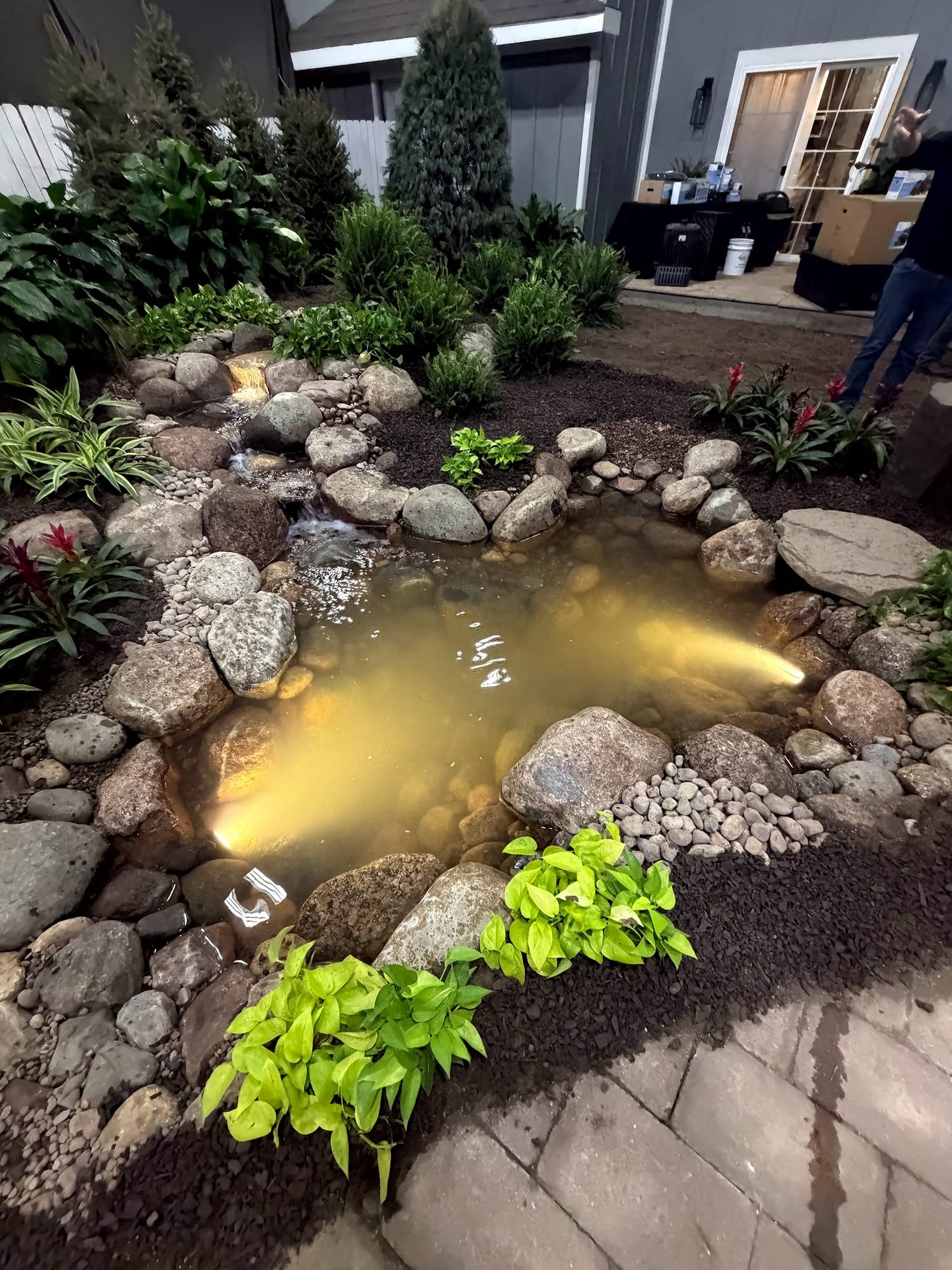 Pond water feature with fresh plantings