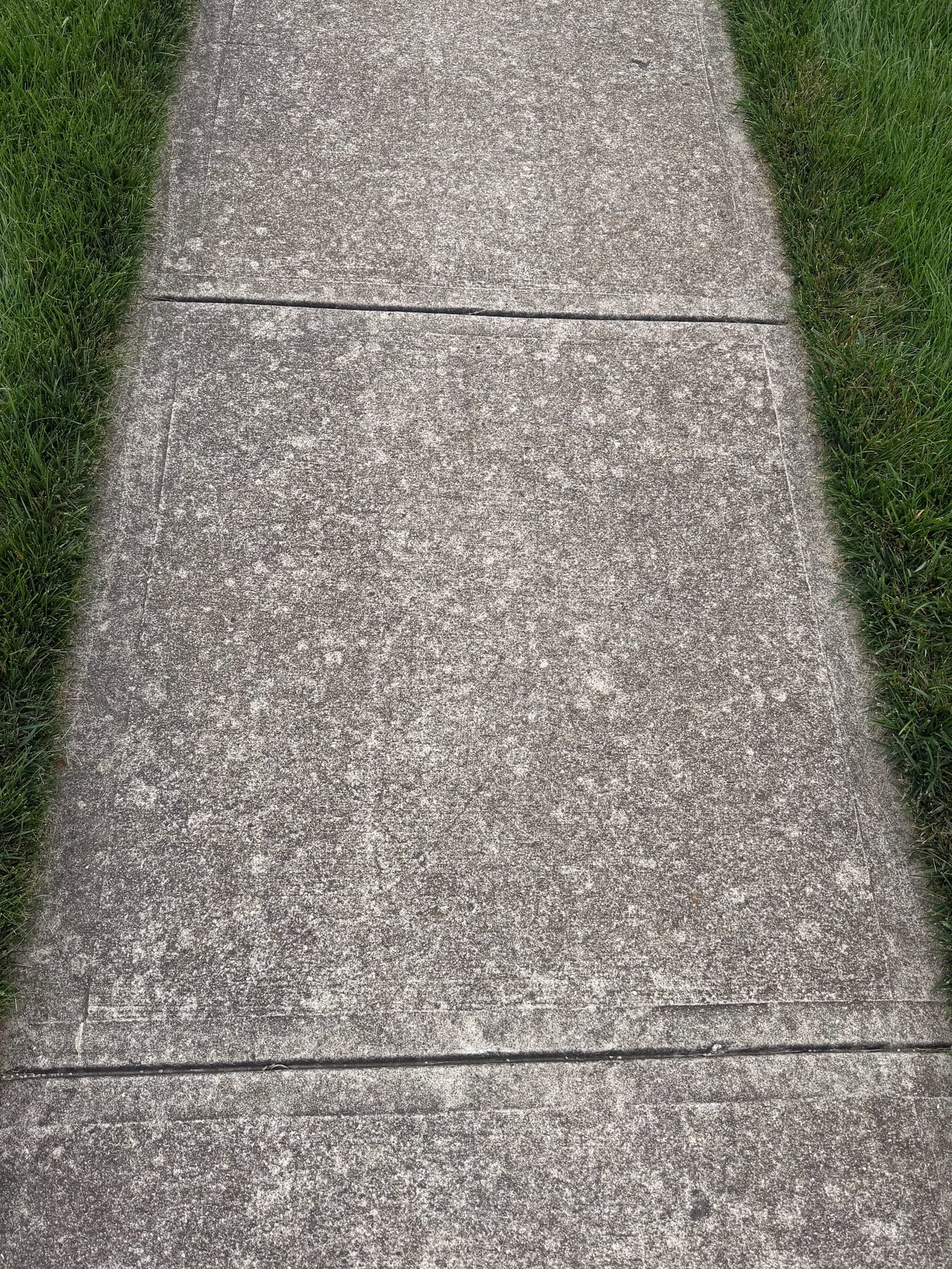 Concrete walkway before pressure washing