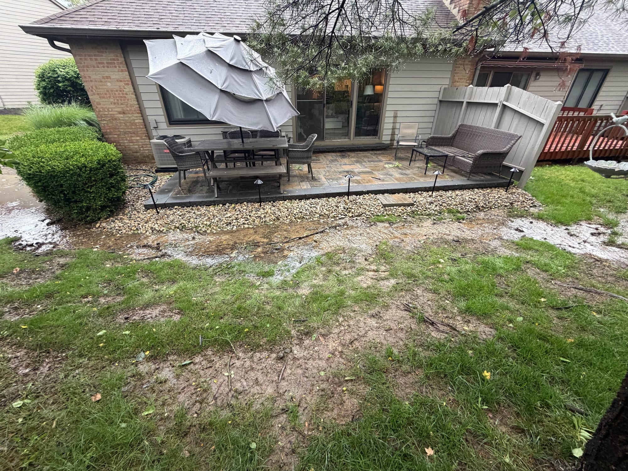 Backyard beds cleaned up and re-edged