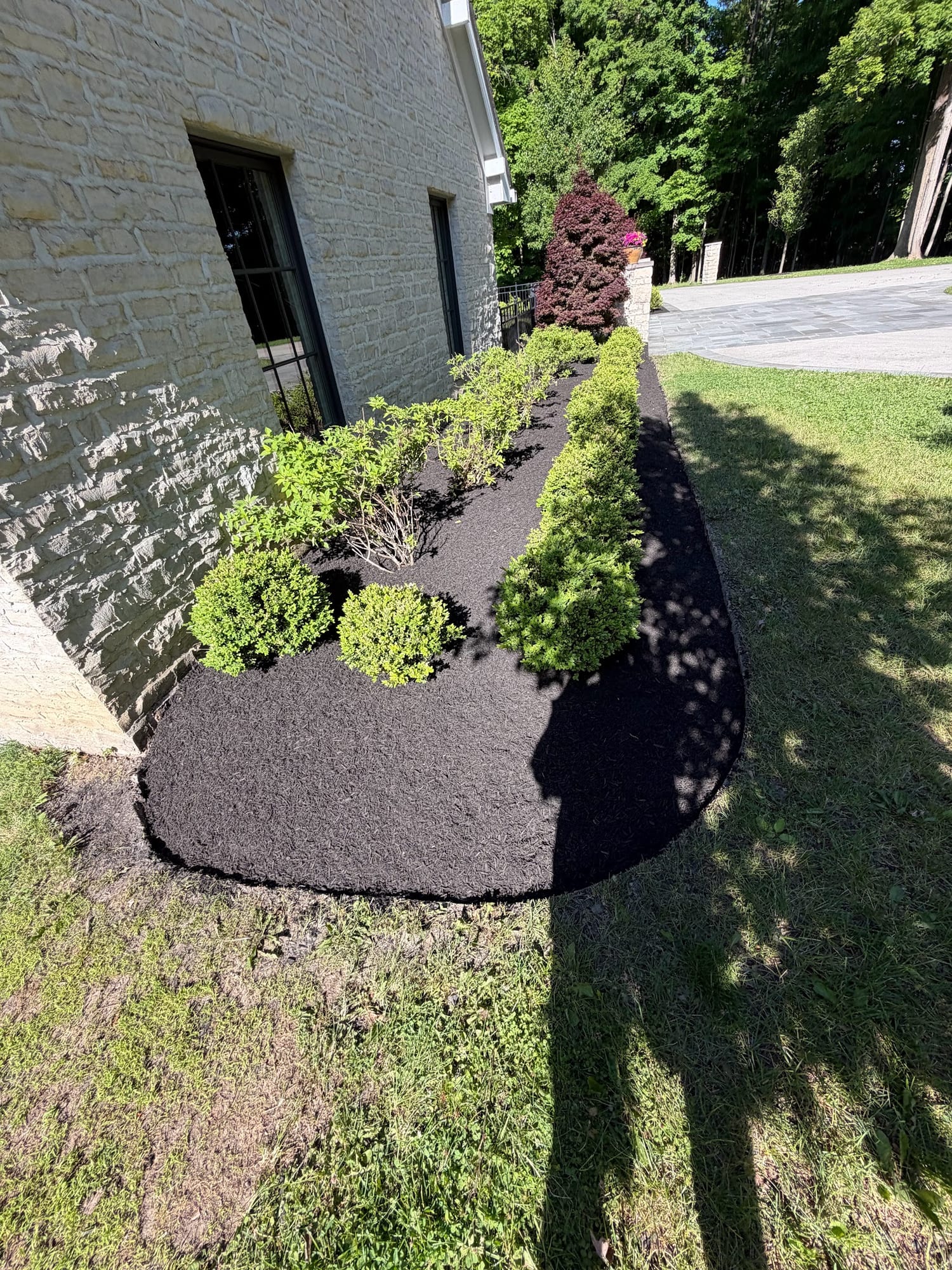 Shrub bed refreshed with dark mulch