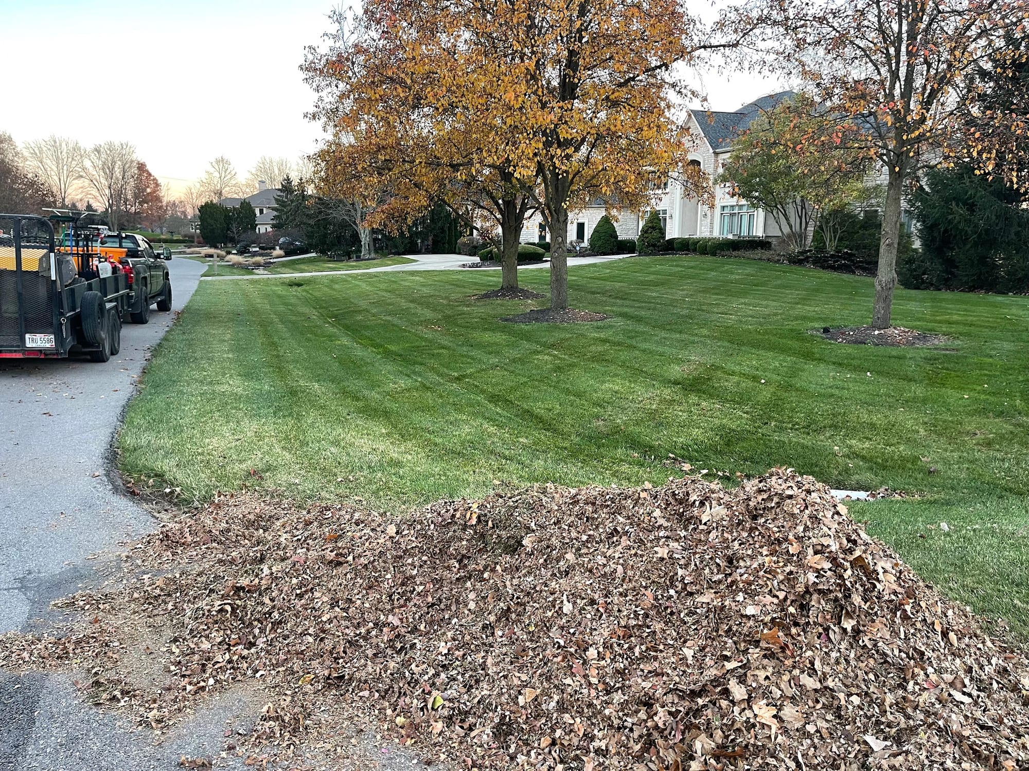 Wood chips and chipper on site during tree cleanup