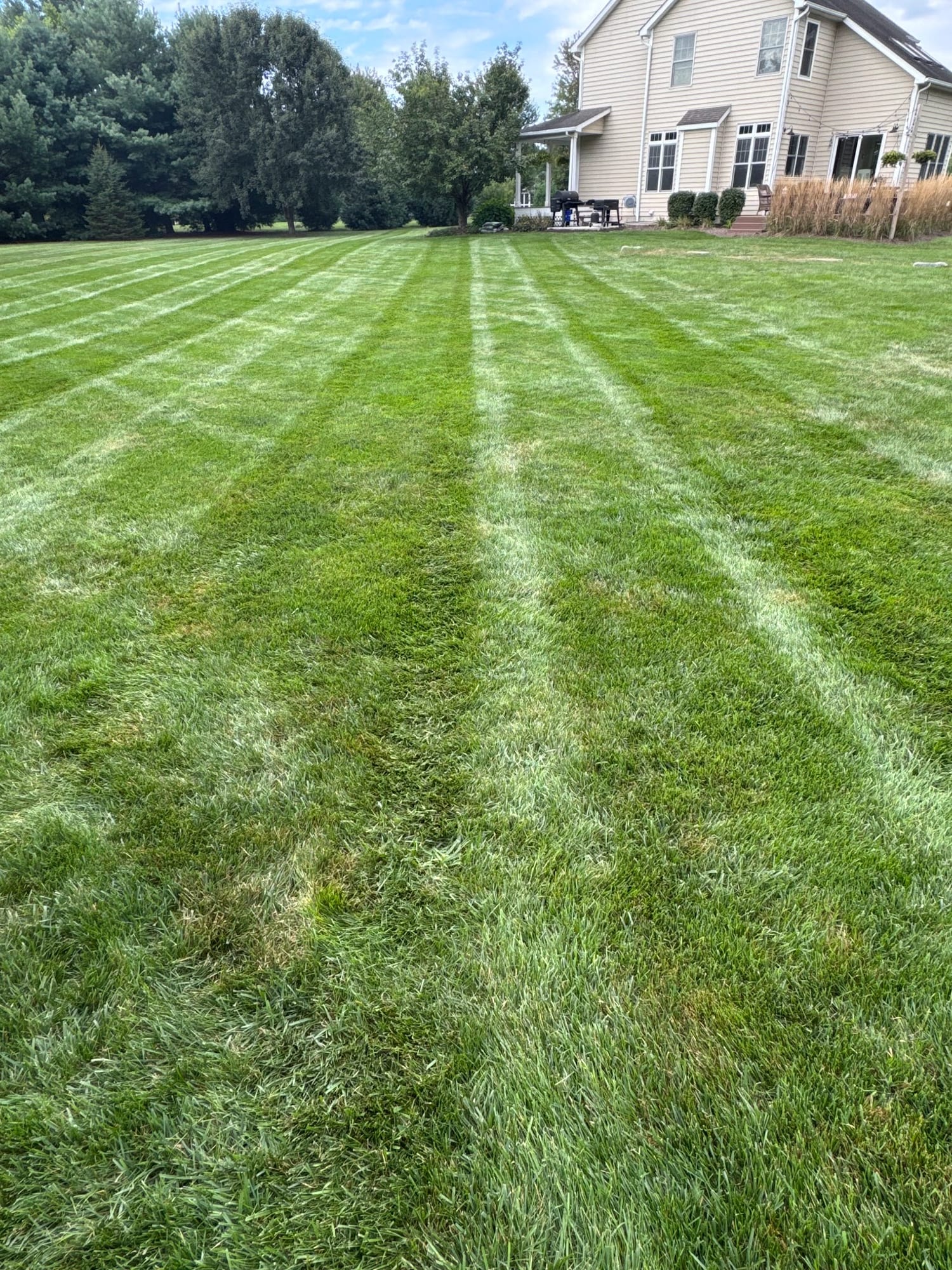 Mowing stripes running toward the house
