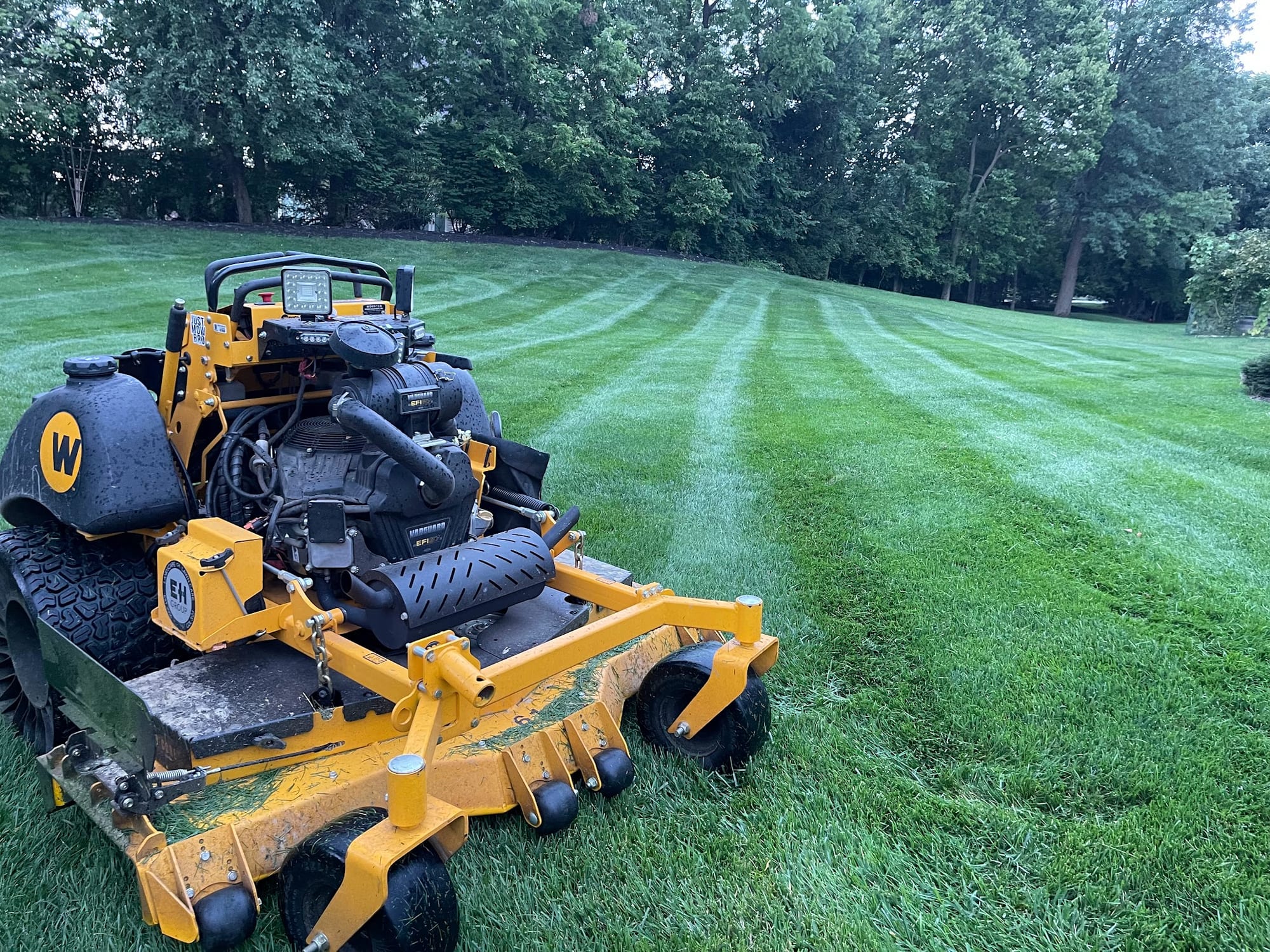 Stand-on mower striping a lawn