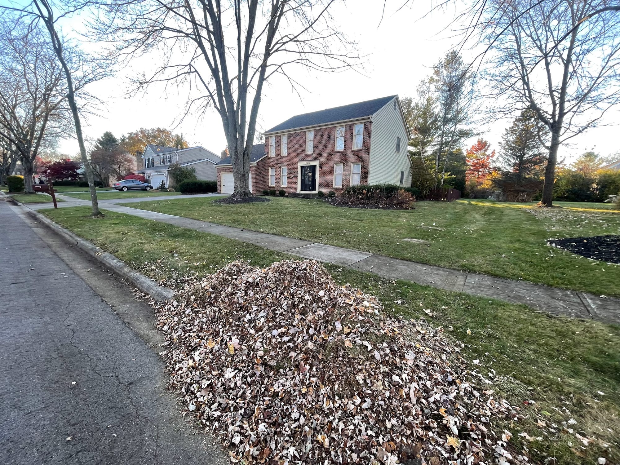 Curbside leaf piles during a fall cleanup
