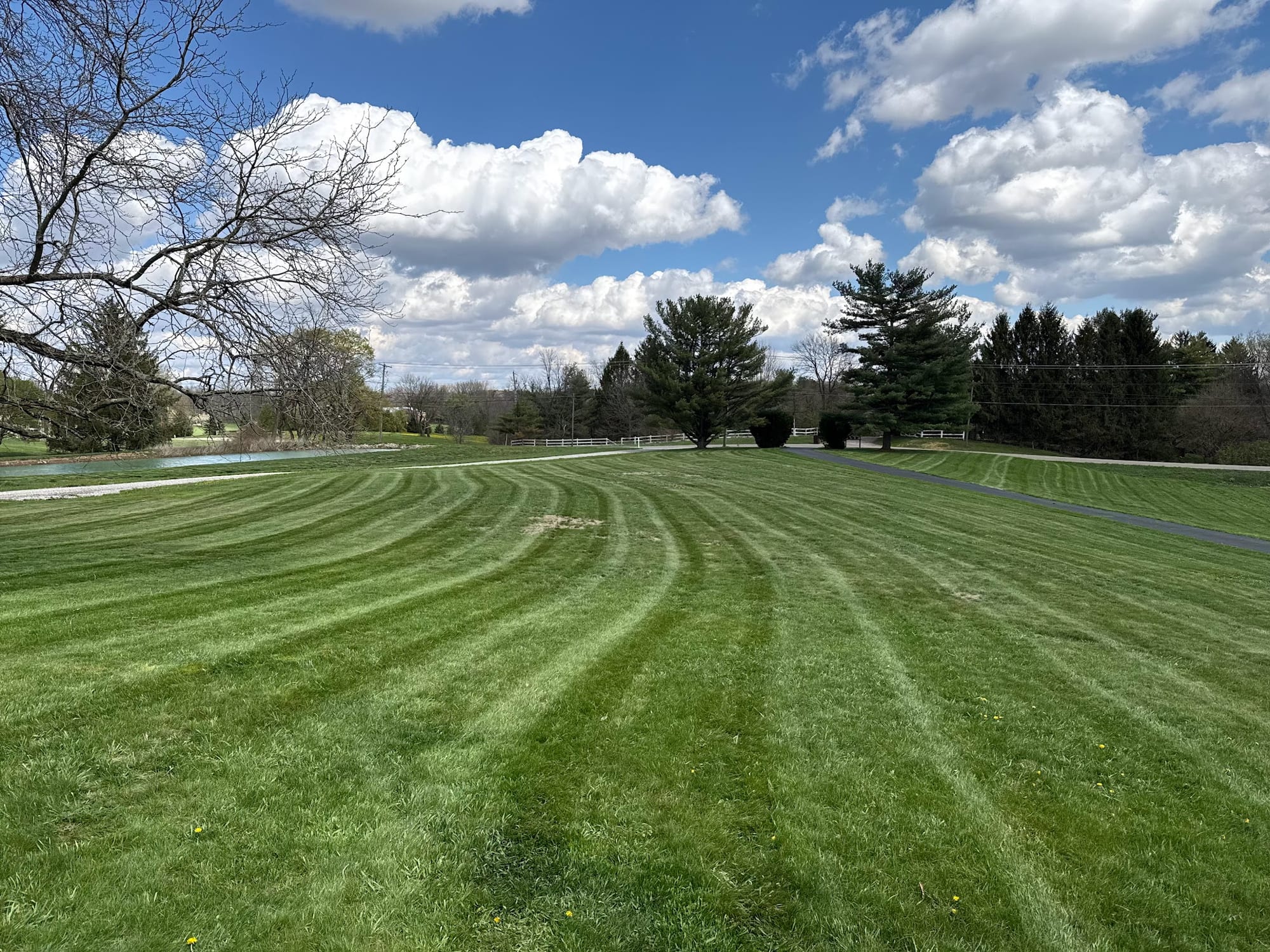 Striped lawn under a big afternoon sky