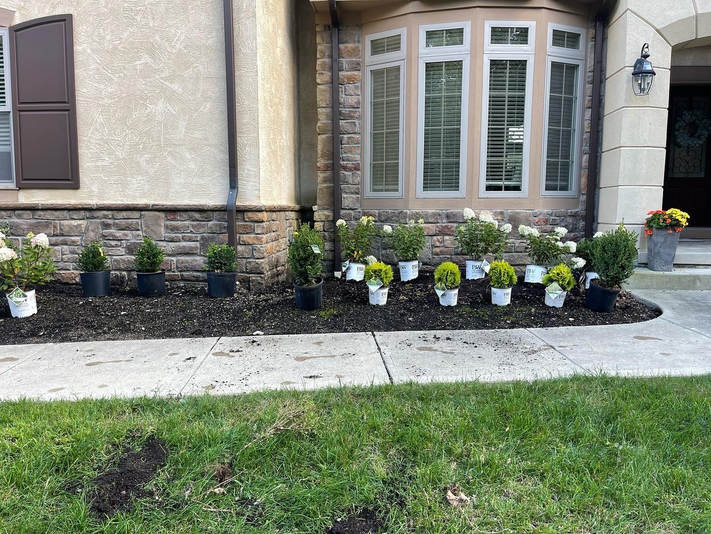 Foundation plantings with white flowers below the windows