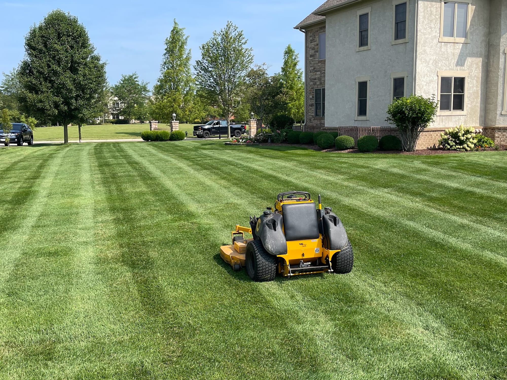 Zero-turn mower striping a backyard