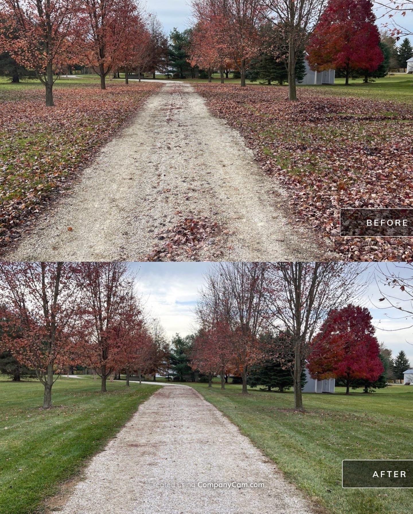 Leaf-covered path before and after cleanup