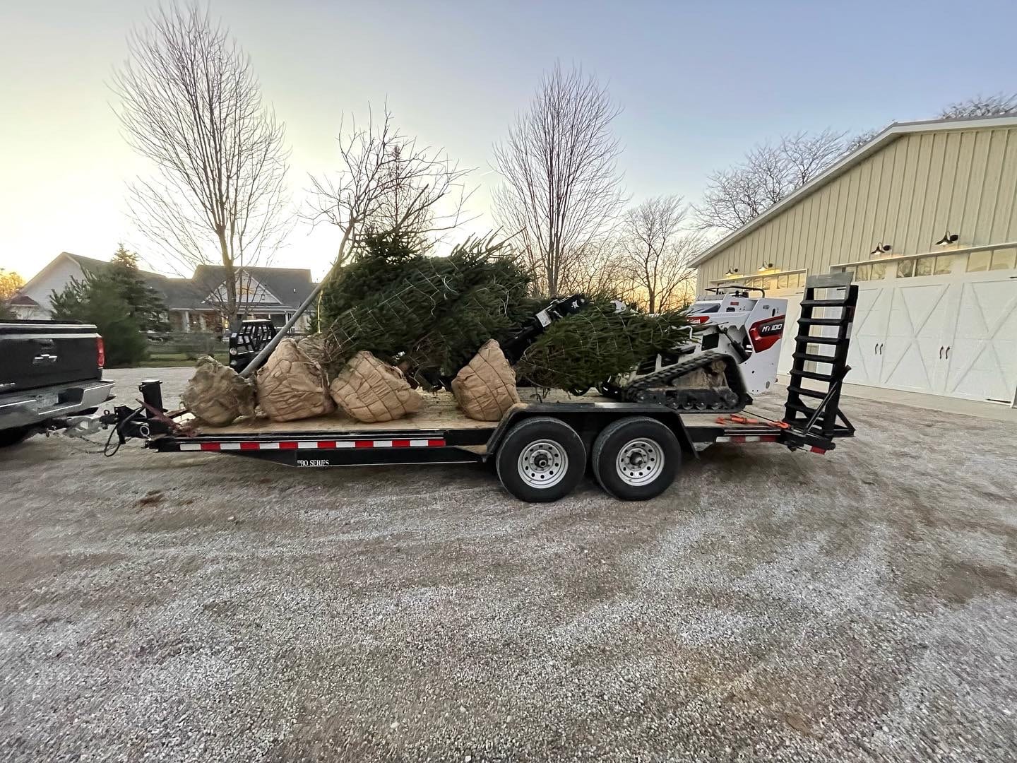 Trailer loaded with trees for installation